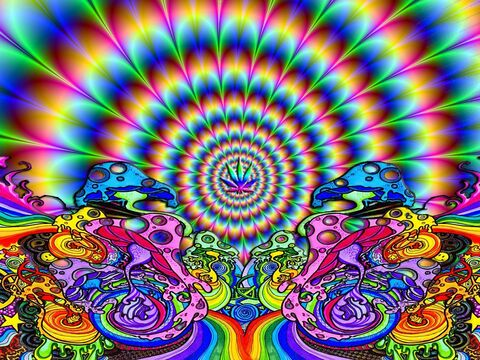 D🌺 @galacticpussy710 cover picture