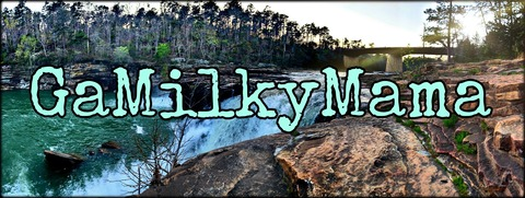 GaMilkyMama @gamilkymama cover picture