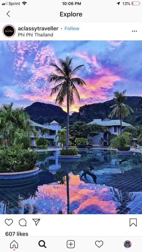 kitty 🦋 @gangstakitty cover picture