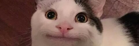 GeLL @gellinajsn cover picture