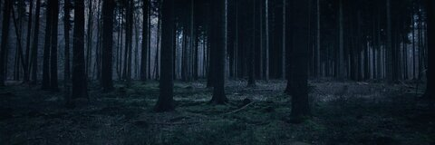 Owen @gender cover picture