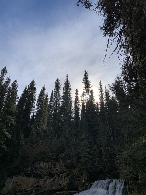 Stacie’s mom @gfsperfume cover picture