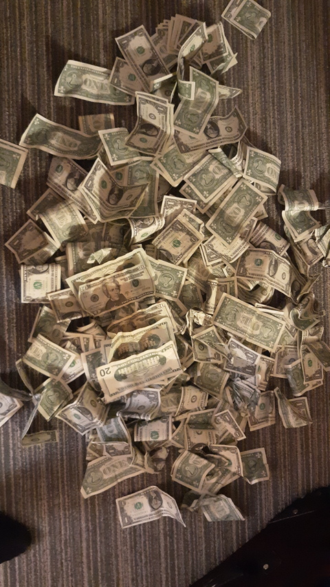 Ginger S. @ginger4 cover picture