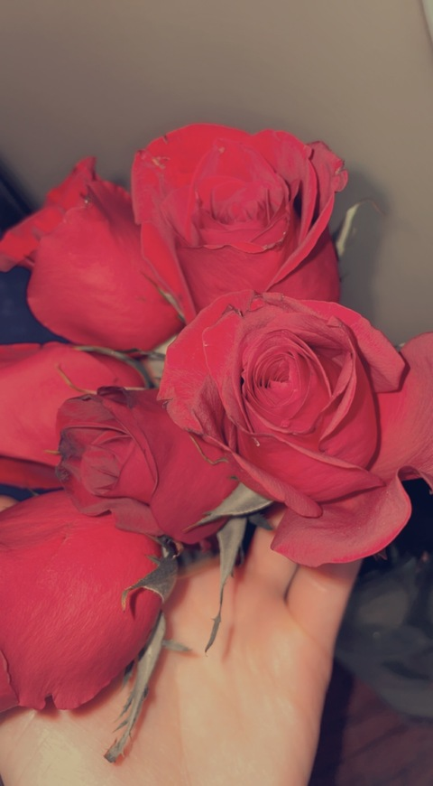 Ginger Rose @gingerrose2615 cover picture