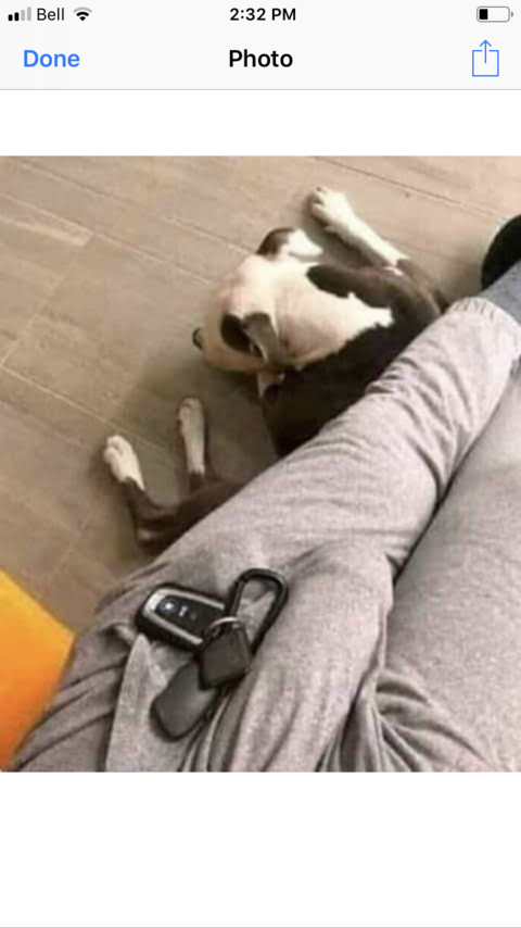 u4970772 @griffith cover picture