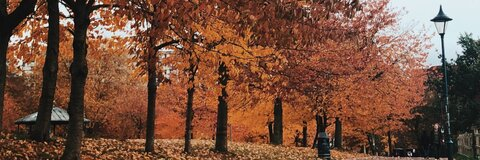 𝖌𝖆𝖇𝖘 ✨ @gxbbybyrne cover picture