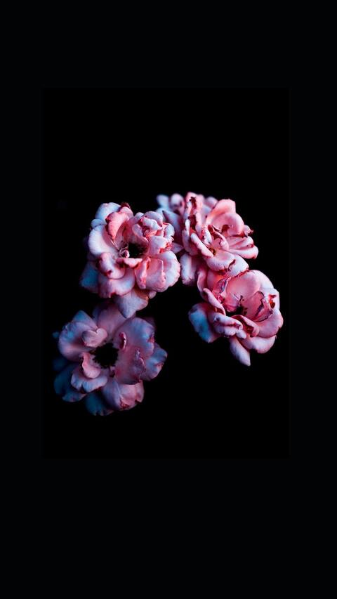 Hades @hades-uog cover picture