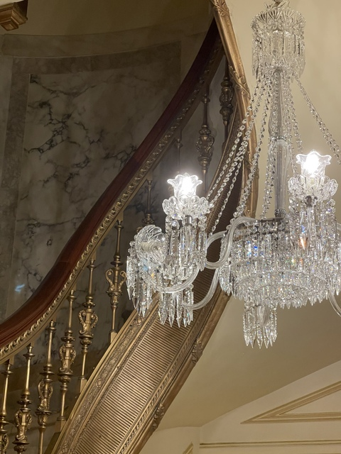 halezzz @halezzz cover picture