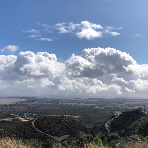 Sean @handsom1 cover picture