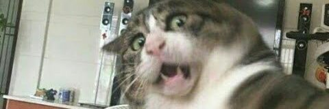 Hanz @hanz1 cover picture