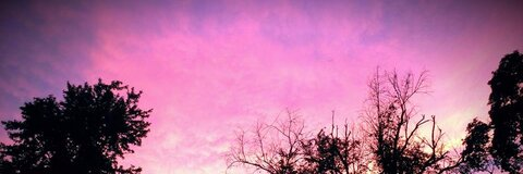 Hbaby👑 @hbaby cover picture