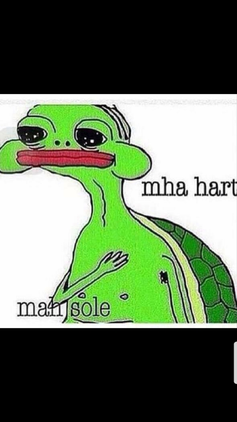 Heatmiser @heatmiser101 cover picture