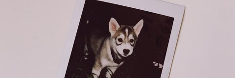 Julia 🌻 @hiiijulia cover picture