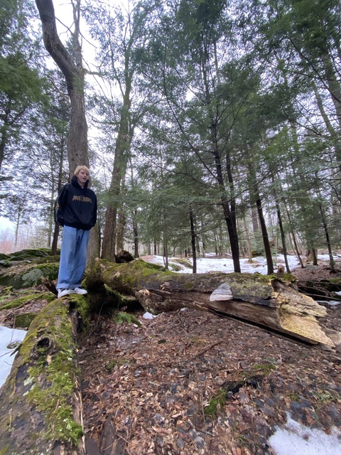 Brogan @hiles cover picture