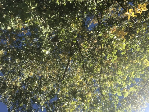 Hannah Stahl @hintsofhannah cover picture