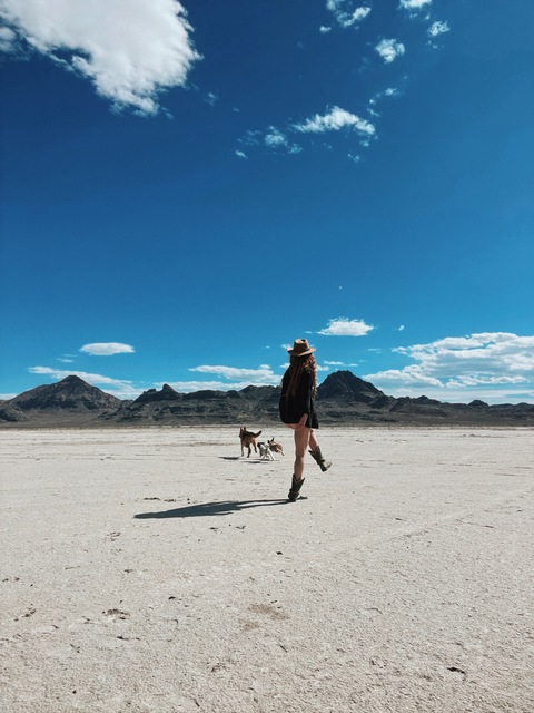 Hippiegg @hippiegg cover picture