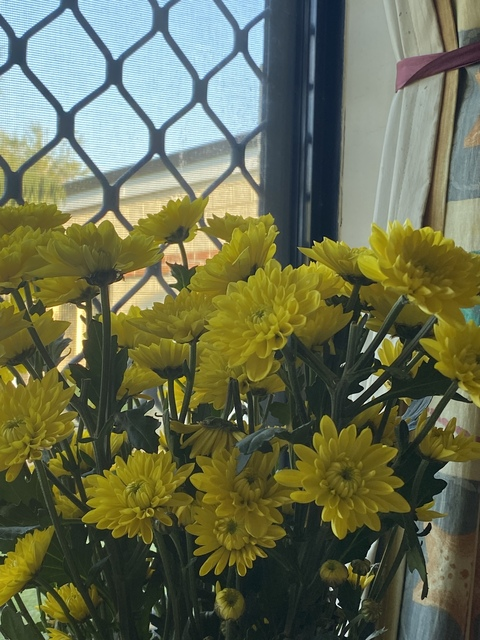 hoemieg @hoemieg cover picture