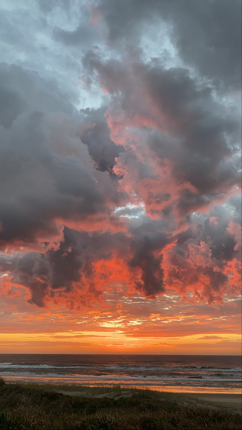 Honey Loves @honeyloves cover picture