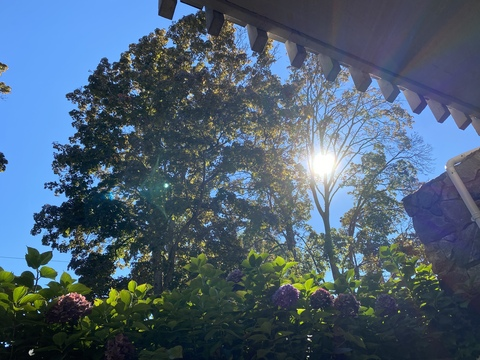 holly @hoperxo cover picture