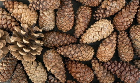 Eric-Tater @hot_ky cover picture