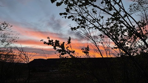 James Bttm @hrnybttmabq cover picture