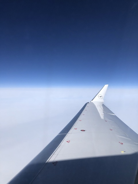 Dave @hung-horny-swede cover picture