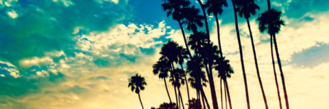 Hunter Vance @huntervancexxx cover picture