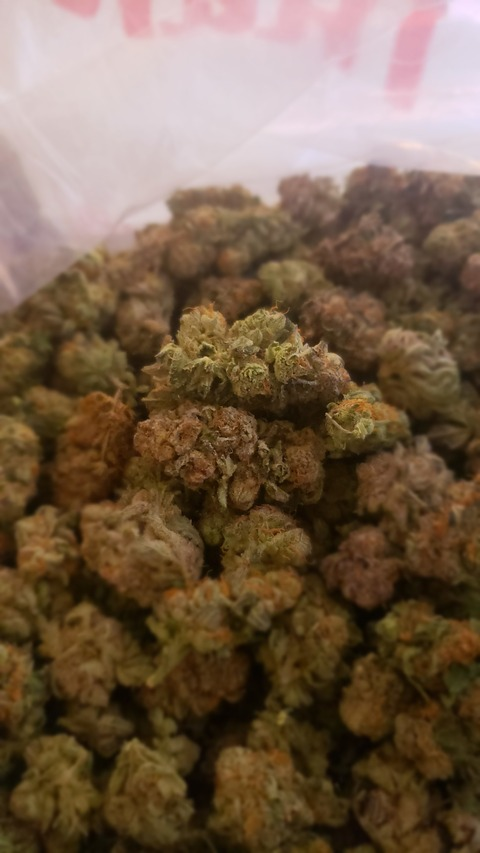 This girl is fire @iblow cover picture