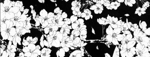 ijusthaveto @ijusthaveto cover picture