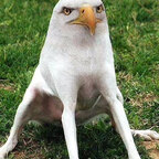 iloveoldermen Profile Picture