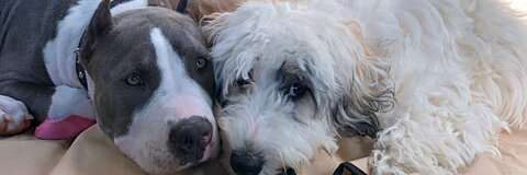 JOANNA @imjomami cover picture