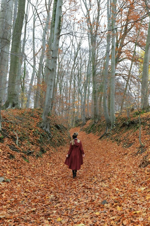 Iohanna @iohanna cover picture