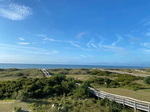 FeS2 Iron Pyrite @ironpyrite cover picture