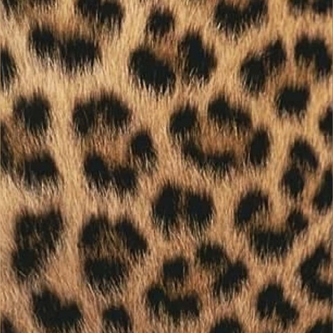 Isabel @isabelhind cover picture