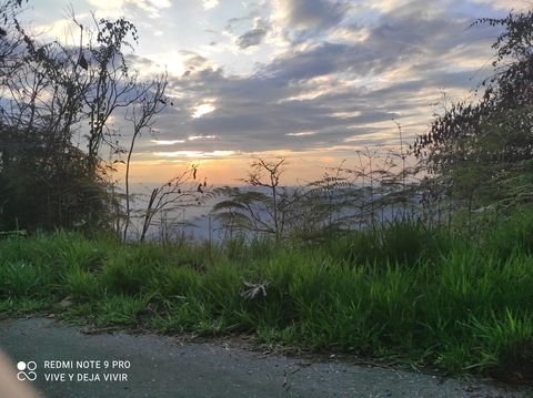 Isabella @isabellarouse cover picture