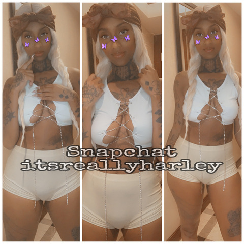 The One and Only the REAL Blac Harley @itsblacharley cover picture