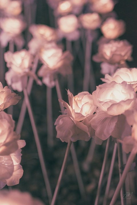 🤷‍♀️ @itsyahgurl cover picture