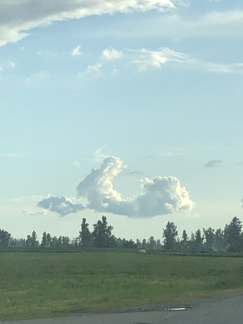 J A D E @jadebell cover picture