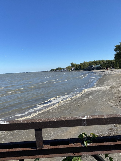 Jade Taylor @jadedtaylorr cover picture