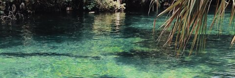 gym bro jade @jadegotchy cover picture