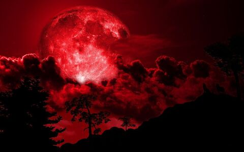 Jade💋 @jadestoned69 cover picture