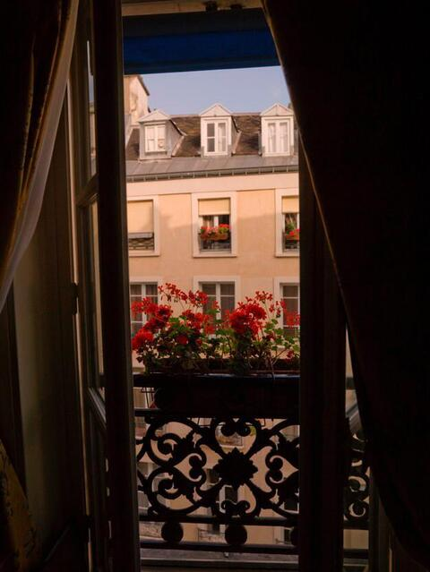 Jakeline Zozzo @jakeline cover picture