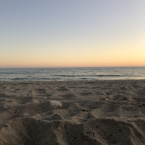 Jarred @jarredzoldyck cover picture