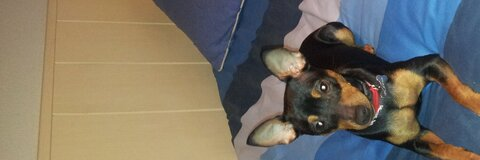 alejandro lebron @jaster cover picture