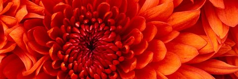 JennaLee @jennalee623 cover picture