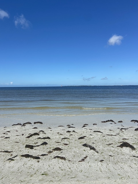 Jen @jennayyyyy cover picture