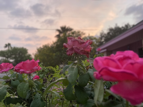 Jessica @jesssyh cover picture