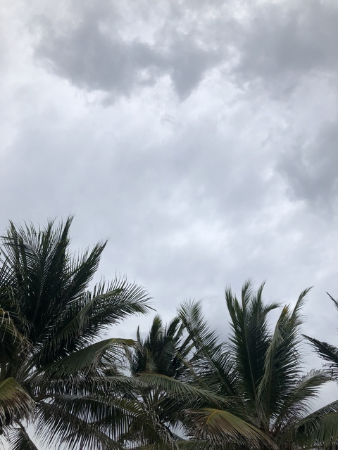 jessica newhouse @jnewhouse23 cover picture