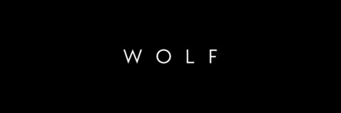 LOBO MEDINA🐺 @jozemeddina cover picture