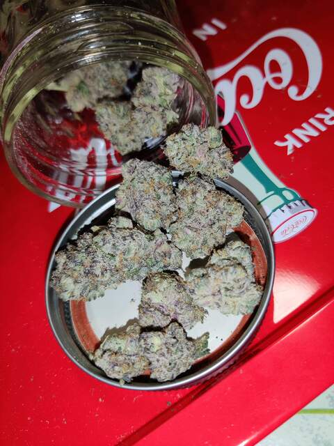 Gurren @jplagann cover picture